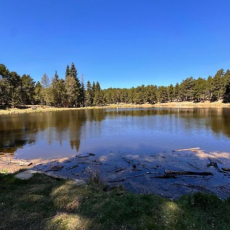 Studio La Poule Au Pot Pieds Des Pistes Font Romeu Pyrenees 2000 Διαμέρισμα Bolquere Pyrenees 2000 Εξωτερικό φωτογραφία