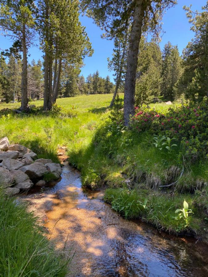 Studio La Poule Au Pot Pieds Des Pistes Font Romeu Pyrenees 2000 Διαμέρισμα Bolquere Pyrenees 2000 Εξωτερικό φωτογραφία