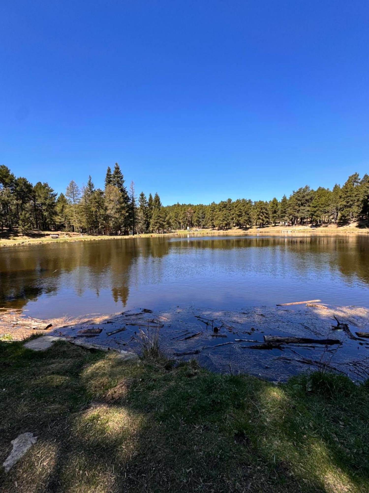 Studio La Poule Au Pot Pieds Des Pistes Font Romeu Pyrenees 2000 Διαμέρισμα Bolquere Pyrenees 2000 Εξωτερικό φωτογραφία